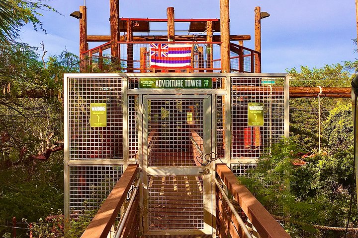 Aerial Challenge Course - thumb 2