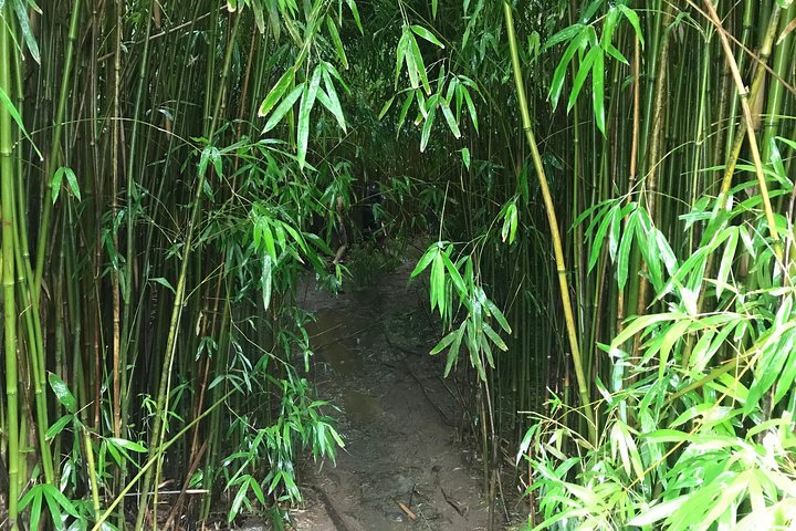 Elite Private Tour - thumb 0