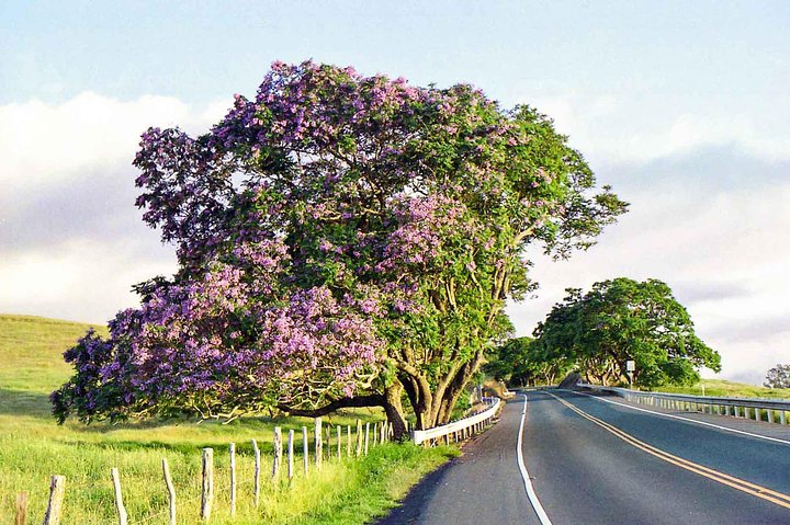 Elite Private Tour - thumb 2