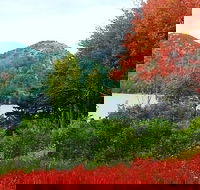 Narrated Bus Tour of Bar Harbor and Acadia National Park Classic - 2.5 Hours - Students Accommodation