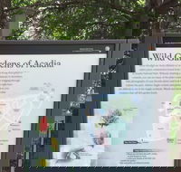 Premium Narrated Bus Tour of Bar Harbor and Acadia National Park 3.5 Hours - Students Accommodation