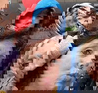 Adventurous Scavenger Hunt in Detroit by Zombie Scavengers - Students Accommodation