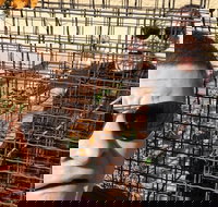 Scavenger Hunt Adventure in Kalamazoo by Zombie Scavengers - USA Accommodation