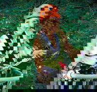 Fully Guided Zipline Canopy Tour through Kentucky River Palisades - Students Accommodation