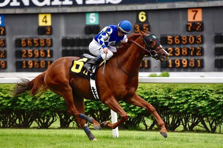 Bourbon And Derby: Makers Mark Or Other + Churchill Down - thumb 2