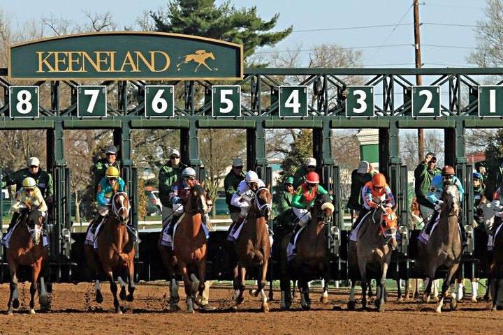 Bourbon And Derby: Makers Mark Or Other + Churchill Down - thumb 5