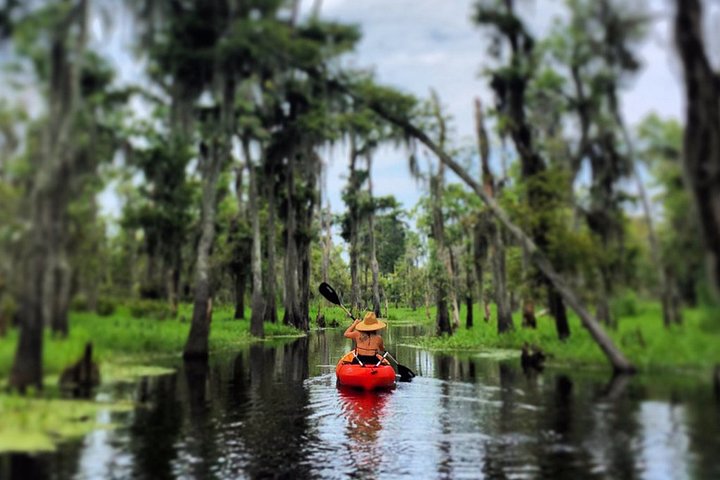 Manchac Swamp Kayak Small-Group Tour - thumb 0
