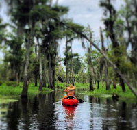 Manchac Swamp Kayak Small-Group Tour - China Accommodation
