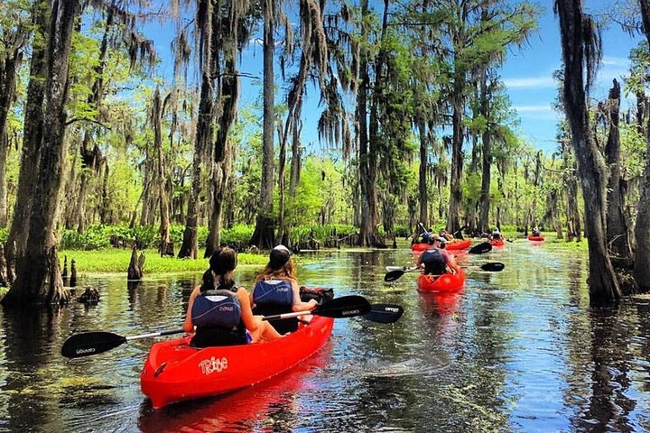 Manchac Swamp Kayak Small-Group Tour - thumb 3