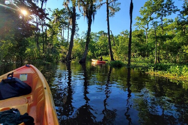 Manchac Swamp Kayak Small-Group Tour - thumb 4