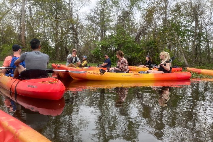 Manchac Swamp Kayak Small-Group Tour - thumb 5