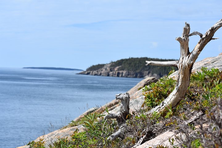 Acadia National Park Private Group Tour- 3 Hours Local Guides - thumb 5