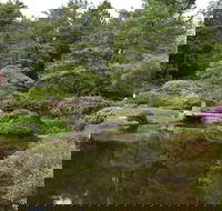 Acadia National Park private group tour- 4 Hours Local Guides - Students Accommodation