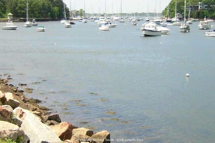 New England Coast: Private Day Trip From Boston - thumb 0