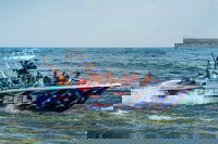 Ocean City Md Tourism Bookings