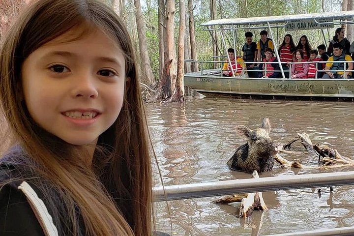 Honey Island Swamp Private Tour With Transport From New Orleans - thumb 2