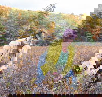 Guided Foraging - Mushroom Hunting Experiences - Students Accommodation