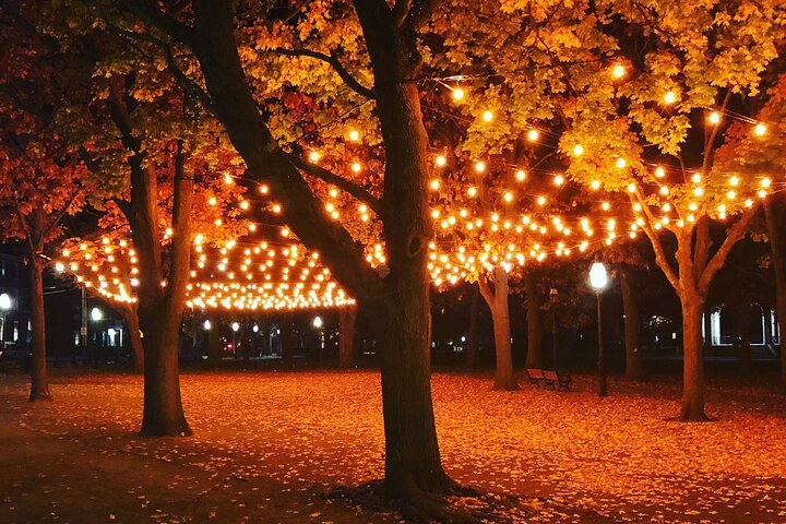 Dark Stories Of Salem - thumb 0