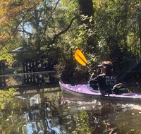 Kayak Tour Of The Bayou's Backwaters - China Accommodation