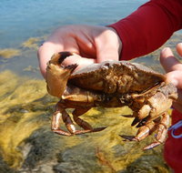 Oyster Farm & Tasting Sea Kayak Tour in Casco Bay - China Accommodation