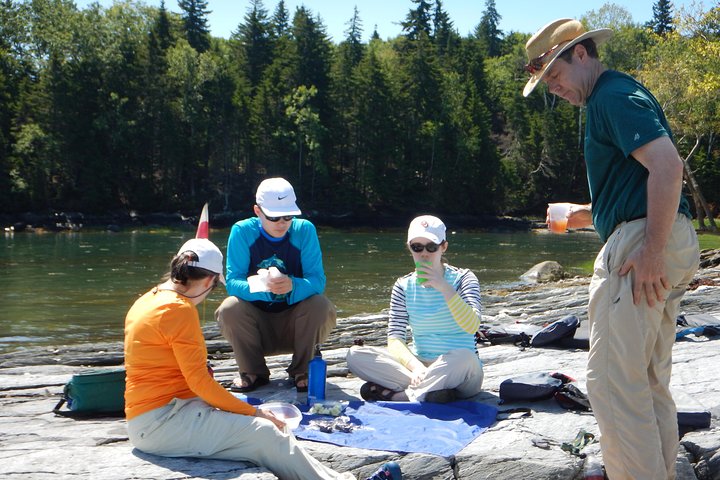 Oyster Farm & Tasting Sea Kayak Tour In Casco Bay - thumb 1