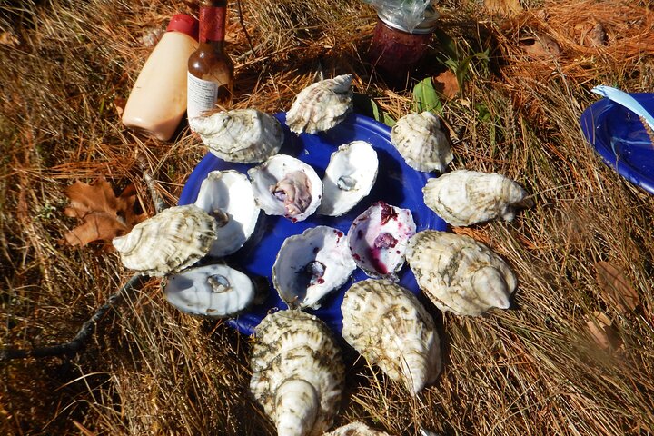 Oyster Farm & Tasting Sea Kayak Tour In Casco Bay - thumb 3