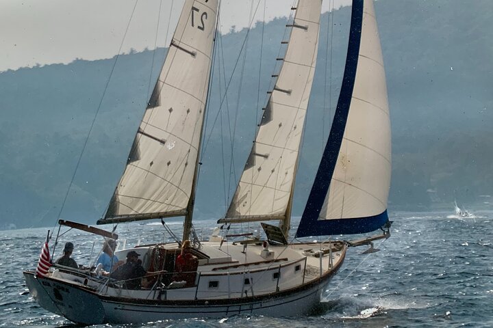 Moonlight Sail On Unforgettable - thumb 5