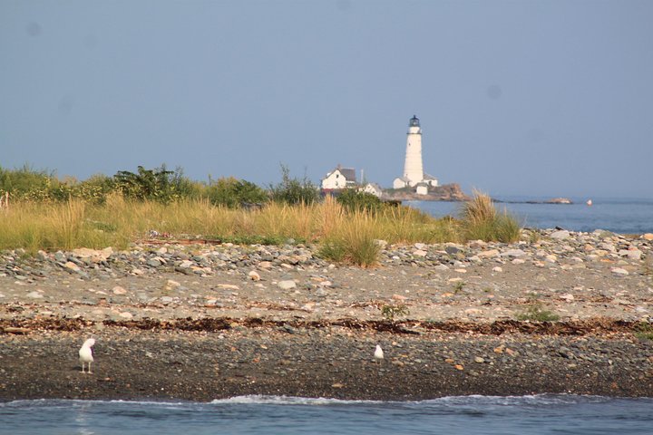 Boston Harbor Sightseeing Cruise - thumb 1