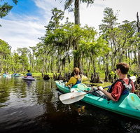 Small-Group Manchac Magic Kayak Swamp Tour with Local Guide - China Accommodation