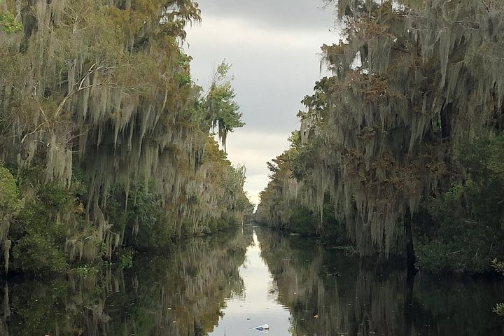 New Orleans Airboat Ride - thumb 5