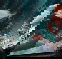 SEA LIFE Michigan Aquarium Admission Ticket - Students Accommodation