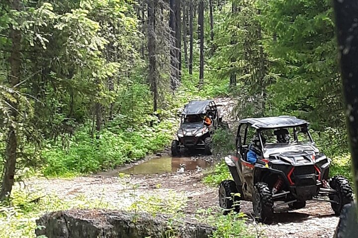 RZR Rental, 4-seat (Full Day) - thumb 4