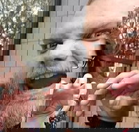 Reno City Scavenger Hunt Excursion by Zombie Scavengers - Tourism Bookings