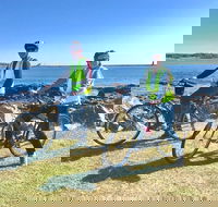 3.5hrs Coastal Tour Visit the Coastline Tucked Away Seaside Villages Mansions - Students Accommodation