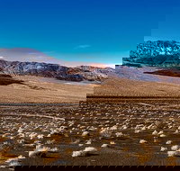 Zion, Bryce, Canyonlands & Grand Canyon National Park 5-Day - Tourism Bookings