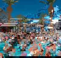 Private Party Bus Dayclub Crawl - Tourism Bookings