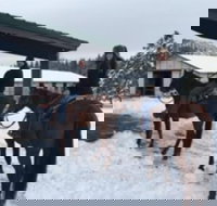 Winter Horseback Riding Adventure from Reno - Tourism Bookings