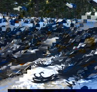 Snowmobiling Packages in the Sierra's from Reno Nevada - Tourism Bookings