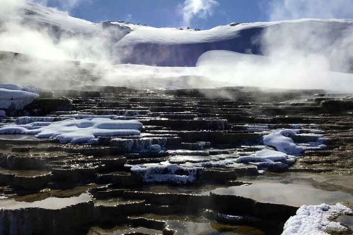 Winter Yellowstone Tour (With Optional Hike Or Snowshoe) - thumb 2