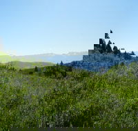 Hike to Chimney Rock with an Enthusiastic Tour Guide - Students Accommodation