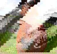 Keep Calm and Brush On - Students Accommodation