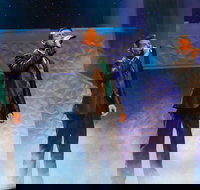 Dublin's Irish Tenors and The Celtic Ladies - USA Accommodation