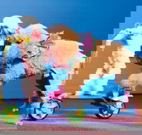 Amazing Pets Show in Branson - USA Accommodation