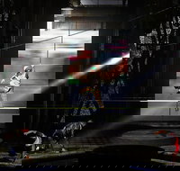 Michael Jackson ONE by Cirque du SoleilÂ® at Mandalay Bay Resort and Casino - USA Accommodation