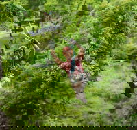 Zipline Canopy Tour in Branson - Students Accommodation