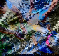 SEA LIFE Kansas City Aquarium Admission Ticket - Students Accommodation