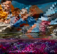 SEA LIFE New Jersey at American Dream - Students Accommodation