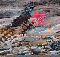 5 Day Western USA National Parks Loop with Accommodation - Tourism Bookings