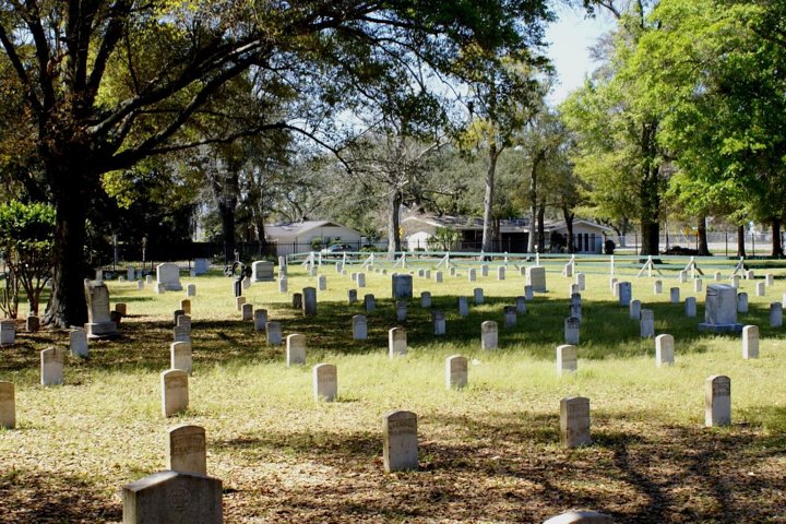 Skip The Line: Beauvoir General Admission Ticket - thumb 3