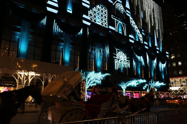 NYC Christmas Lights Special Horse Carriage Ride - thumb 1